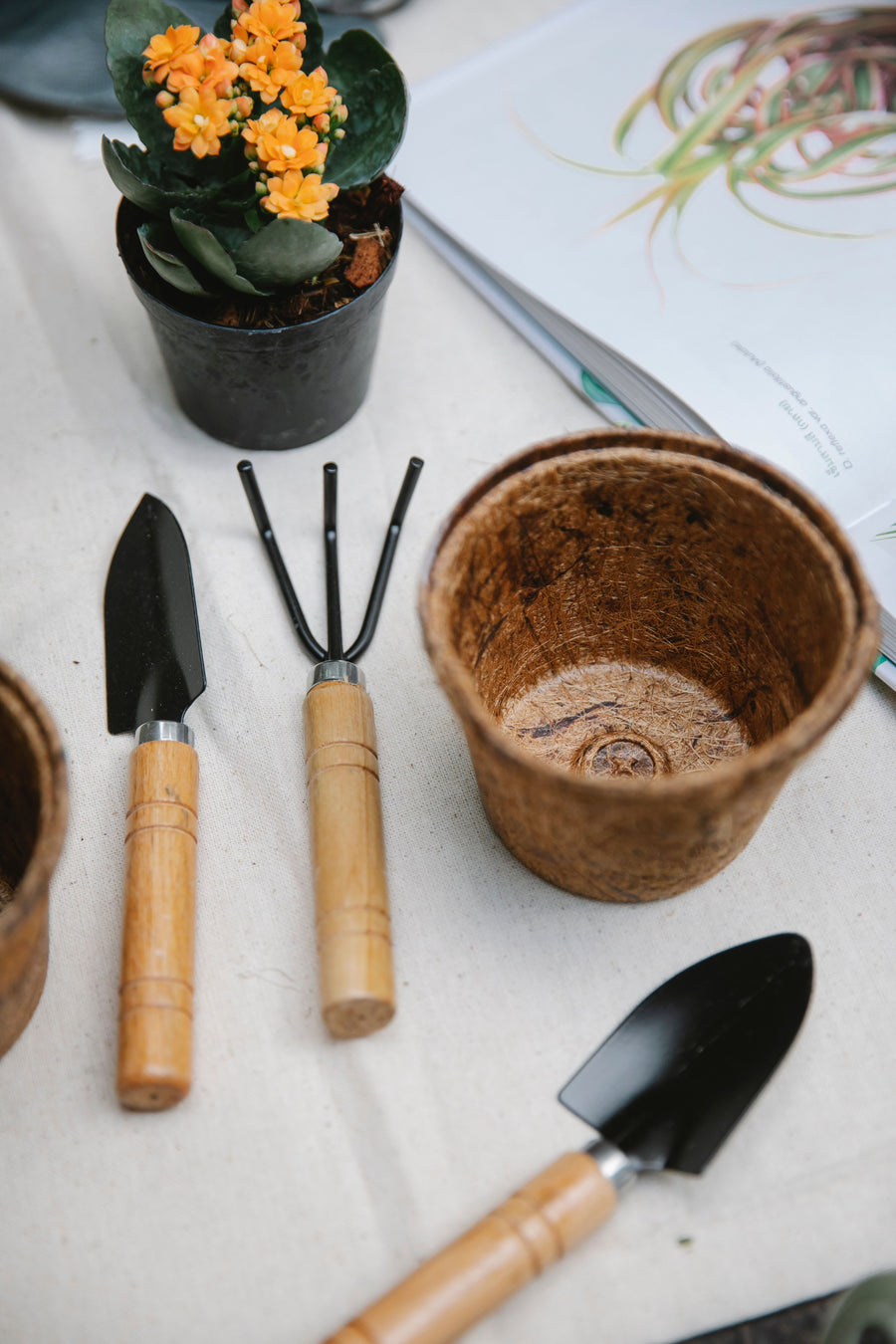 Gardening Tools