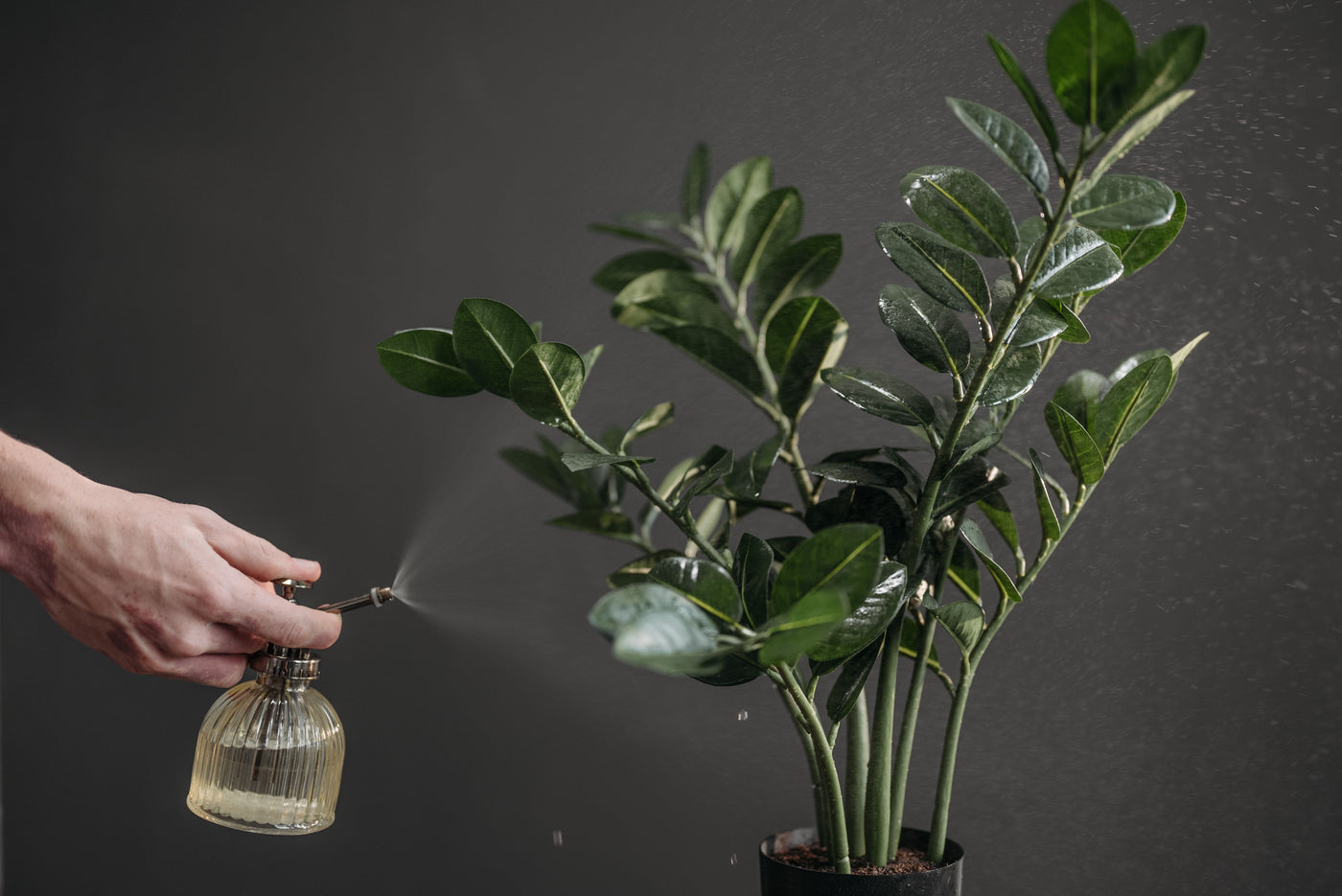 Good plants deserve good care.