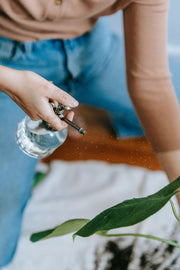 Plant Care